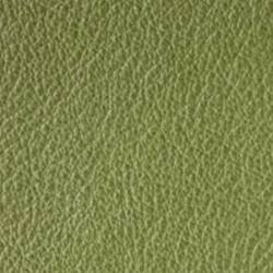 Light Green (Stolz Select Leather 620)