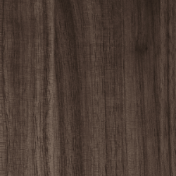 American Walnut (Natural Oil)