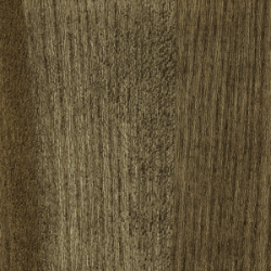 Elm (Johorina Pigment)