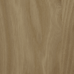 Elm (Natural Soap)