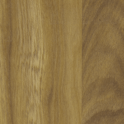 Elm White (Pigmented Oil)