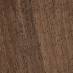 European Walnut (Natural Oil)