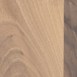 European Walnut (White pigmented oil)