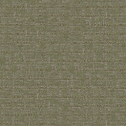 Green LILLE 006