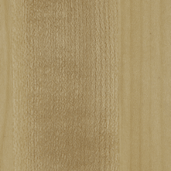 Maple (White Pigmented Oil)