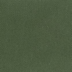 Green (BERBERIS 026)