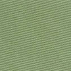 Light Green (BERBERIS 027)