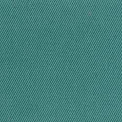 Turquoise (BERBERIS 046)