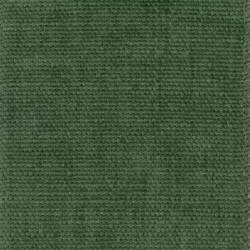 Green (BEGONIA 013)