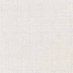 Pure White (BEGONIA 200)