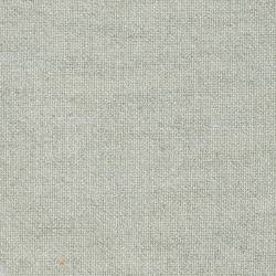 Light Grey (CAMELIA 06)