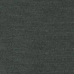 Dark Grey (CAMELIA 20)