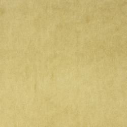 Yellow (ELODEA 1001)