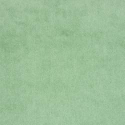 Pond Green (ELODEA 1005)