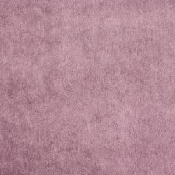Purple (ELODEA 1015)