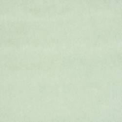 Mint Green (ELODEA 1018)