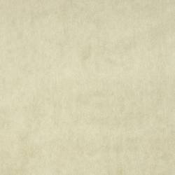 Beige (ELODEA 1021)