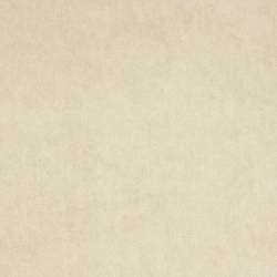 Light Beige (ELODEA 1024)