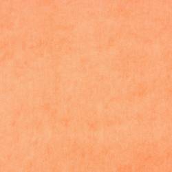 Light Orange (ELODEA 1030)
