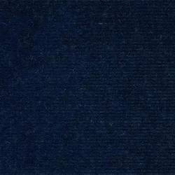 Midnight Blue (PETUNIA 104)