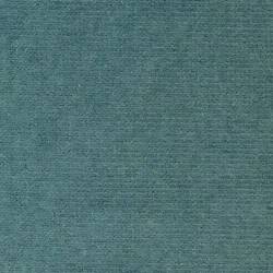 Turquoise (PETUNIA 109)