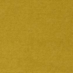 Yellow (PETUNIA 112)