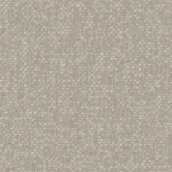 Grey/Beige NAXOS 023