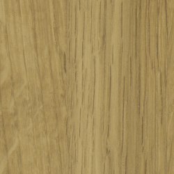 Oak White (Pigment Oil)