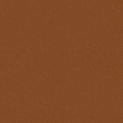 Tan Leather (TERRA SOIL 20360)