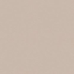 Beige Leather (TERRA LIME 20365)