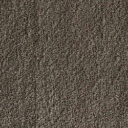 Brown Bouclé (ALPINE 15)