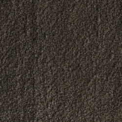 Dark Brown Bouclé (ALPINE 18)