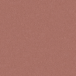 Salmon Pink VELVET 035