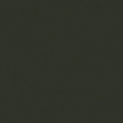 Forest Green VELVET 070
