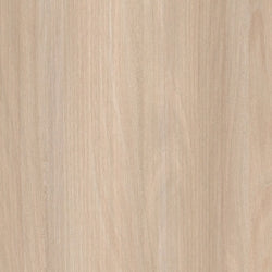 Warm White Ash (C16-2)