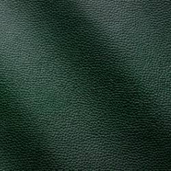 Forest Green (Zenith Mastrotto Leather 9018)