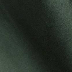 Emerald Green Velvet