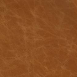 Light Brown Leather