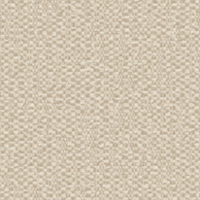 Cream  AVIGNONE 023