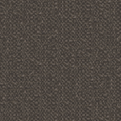 Brown AVIGNONE 069