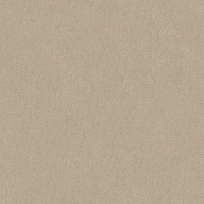 BIGGIE H.18 Bed in Beige Leather Hermitage col. 008 - Twils | Milola