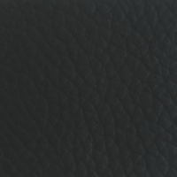 Black Leather (P517)