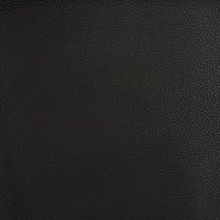Black Leather (ZERO BLACK 89)