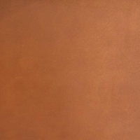 Cognac-Anilinleder (JESOLO COGNAC 64)