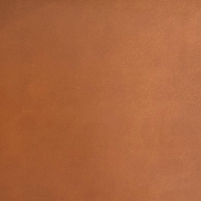 Cognac Aniline Leather (JESOLO COGNAC 64)