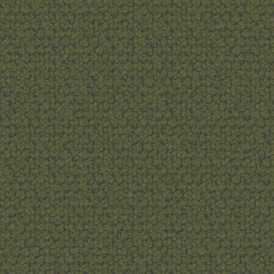 ACADEMY PIUMA H.16 A/A-Box Bed in Green DINARD 015 - Twils | Milols