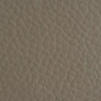 Light Grey Leather (P504)