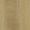 Maple White Pigmented Oil