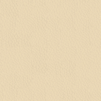 Cuir beige (METROPOLITAN 480)