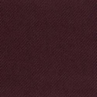 Bordeaux (BERBERIS 19)